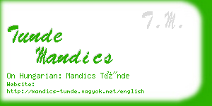 tunde mandics business card